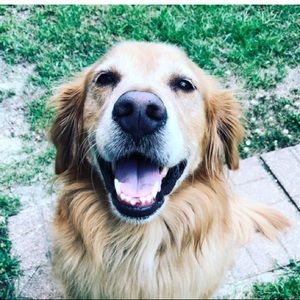 Meet your Posher, Mary catherine